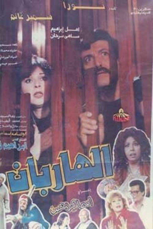 Movie poster for The Two Fugitives (1993)