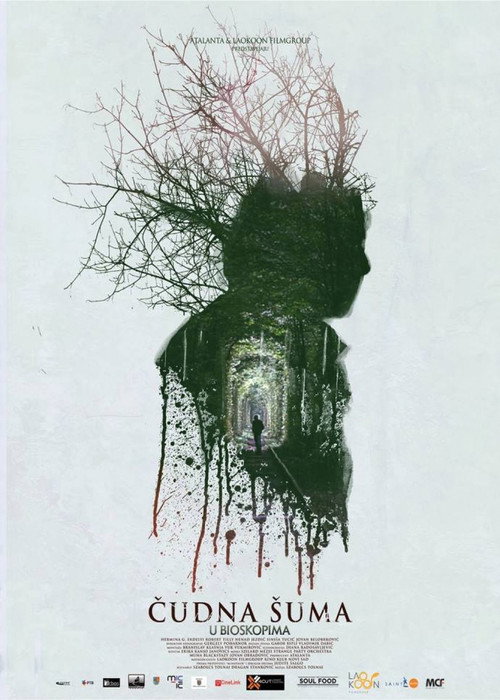 Movie poster for Strange Forest (2014)