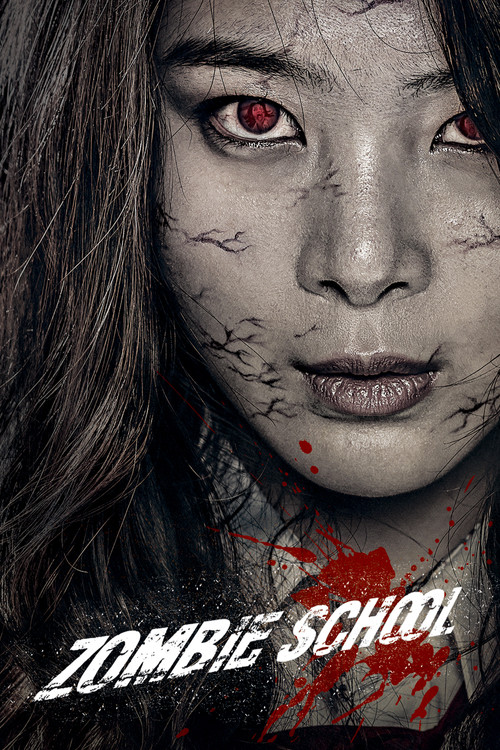 Movie poster for Zombie School (2014)