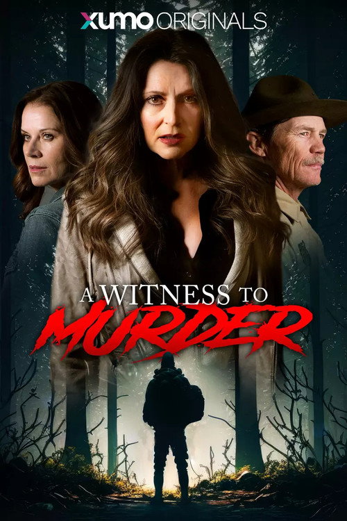 Movie poster for A Witness to Murder (2025)