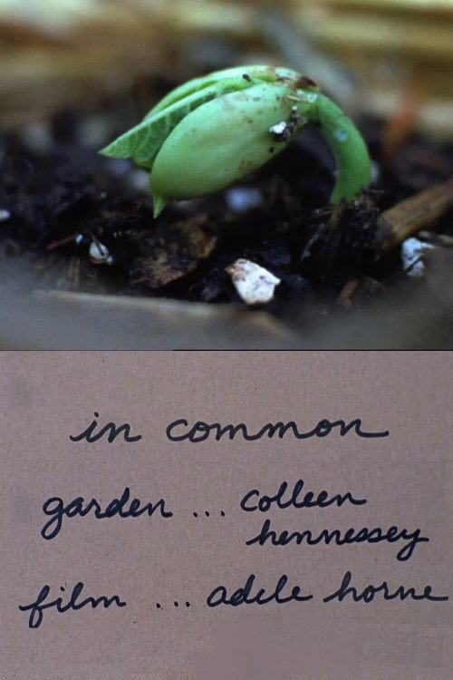 Movie poster for In Common (2014)