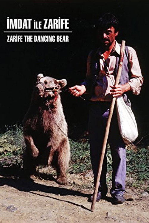 Movie poster for Zarifa The Dancing Bear (1990)