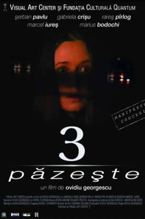 Movie poster for 3 păzește (2003)