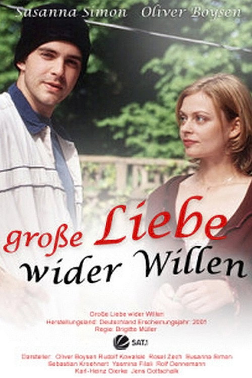 Movie poster for Große Liebe wider Willen (2001)