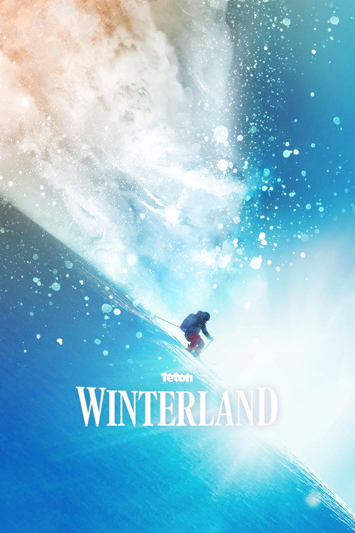 Movie poster for Winterland (2019)