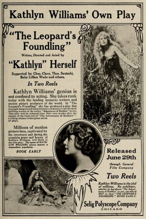 Movie poster for The Leopard's Foundling (1914)