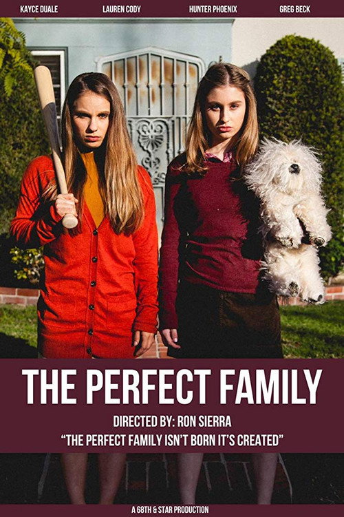 Movie poster for The Perfect Family (2016)