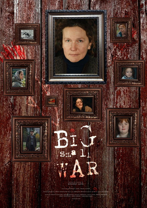 Movie poster for Big Small War (2023)