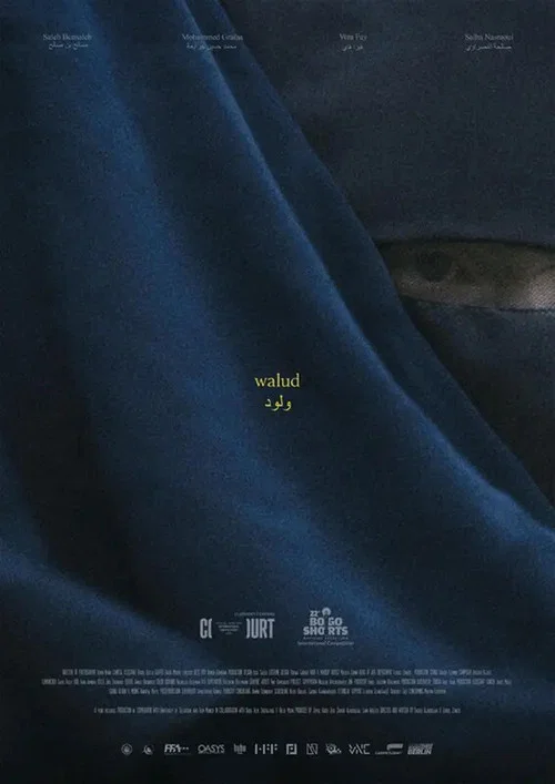 Movie poster for Walud (2025)