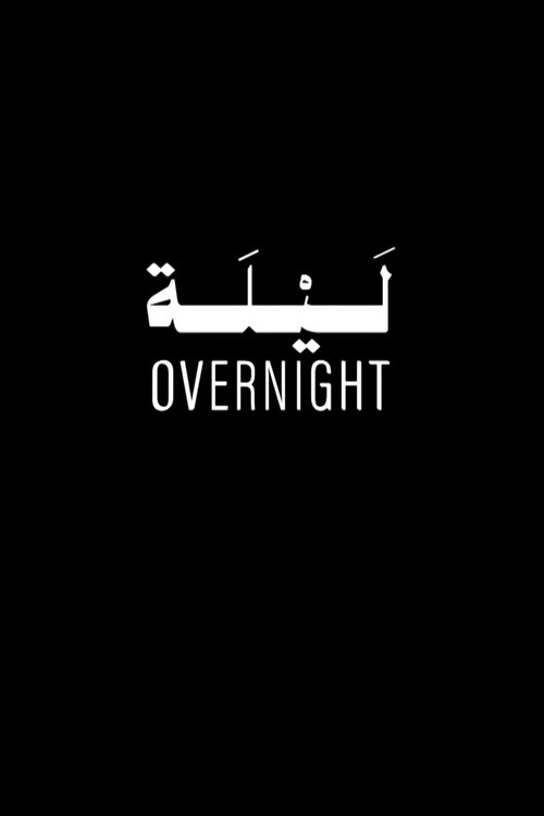 Movie poster for Overnight (2025)