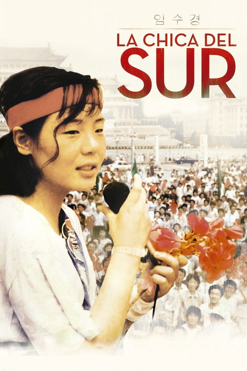 Movie poster for The Girl from the South (2012)
