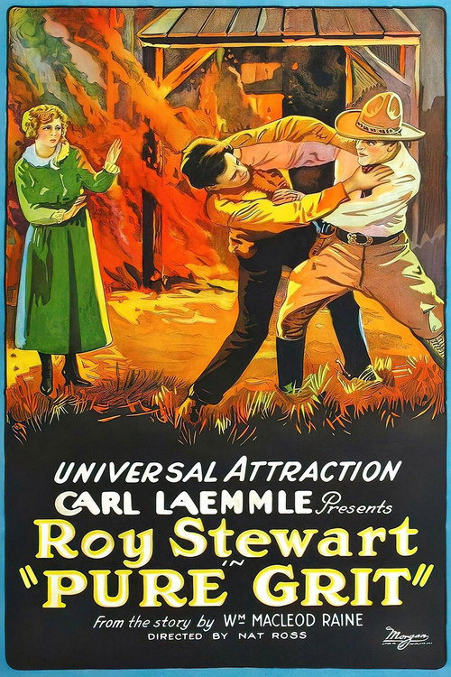 Movie poster for Pure Grit (1923)