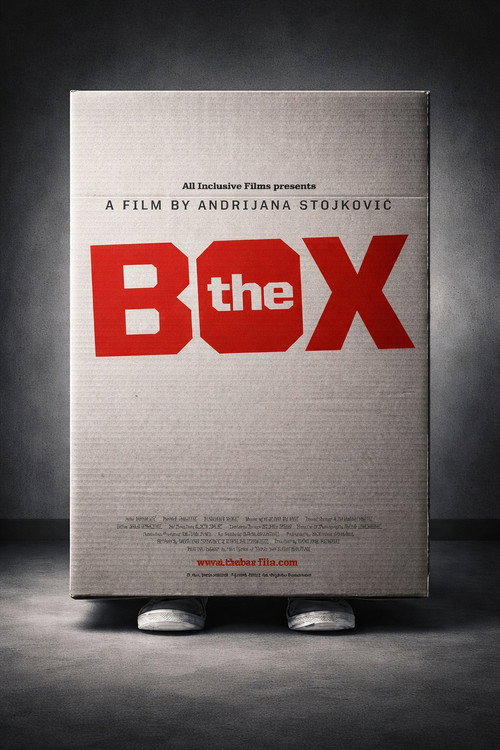 Movie poster for The Box (2011)
