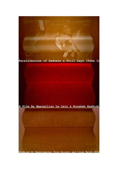Movie poster for Persistencies of Sadness & Still Days (Take 1) (2012)