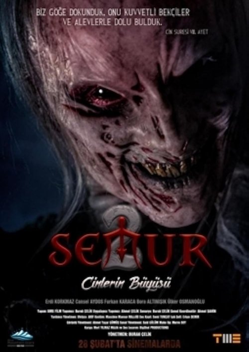 Movie poster for Semur 2: Cinlerin Büyüsü (2020)