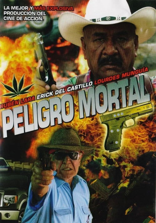 Movie poster for Mortal Danger (2012)