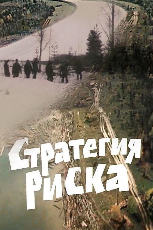 Movie poster for Risk Strategy (1978)