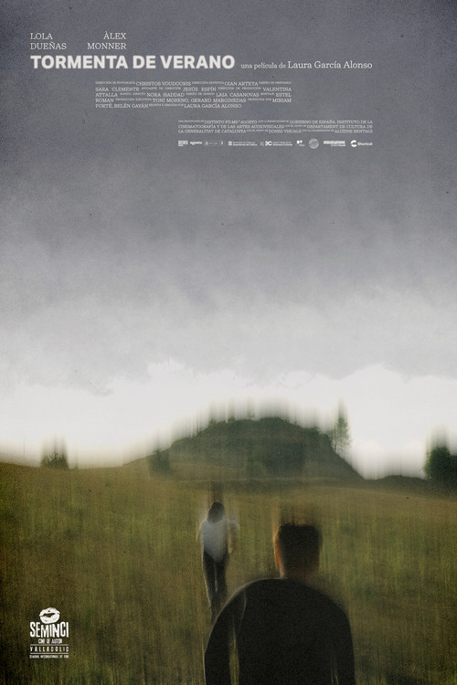 Movie poster for Summer Storm (2022)