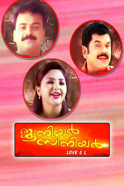 Movie poster for Junior Senior (2005)