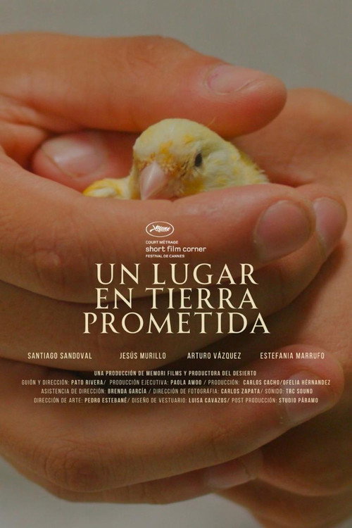 Movie poster for Un lugar en tierra prometida