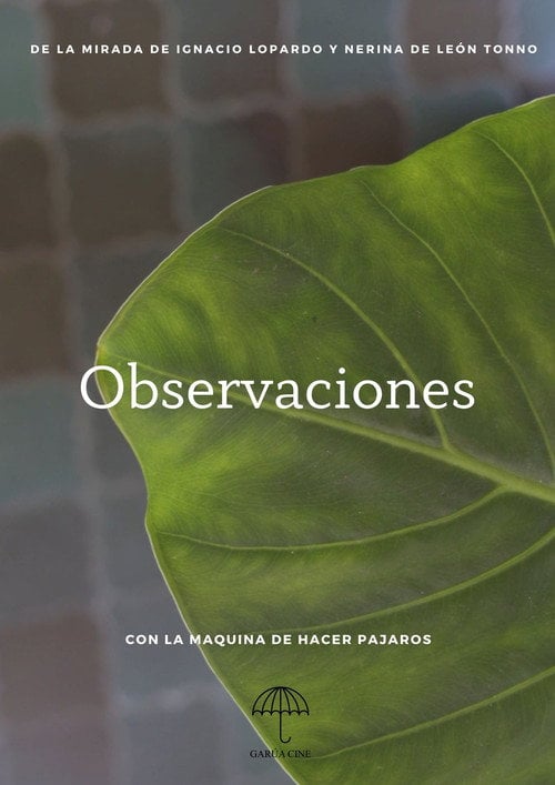 Movie poster for Observaciones (2022)