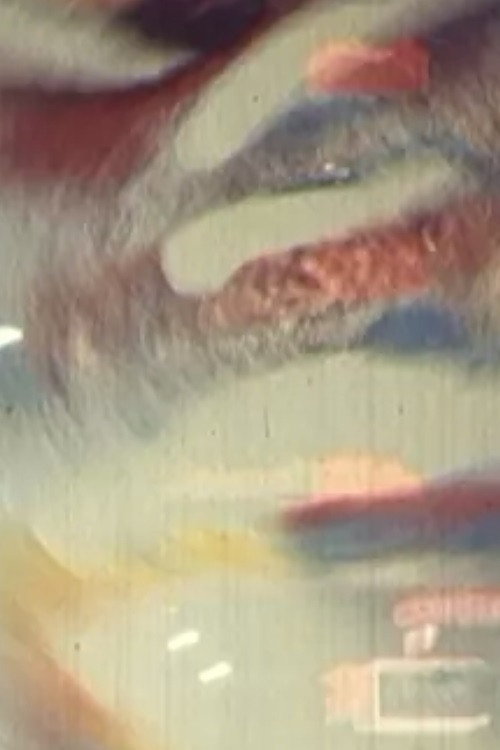 Movie poster for Supervisuell (1969)