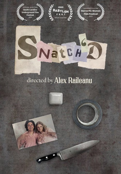 Movie poster for Snatch'D