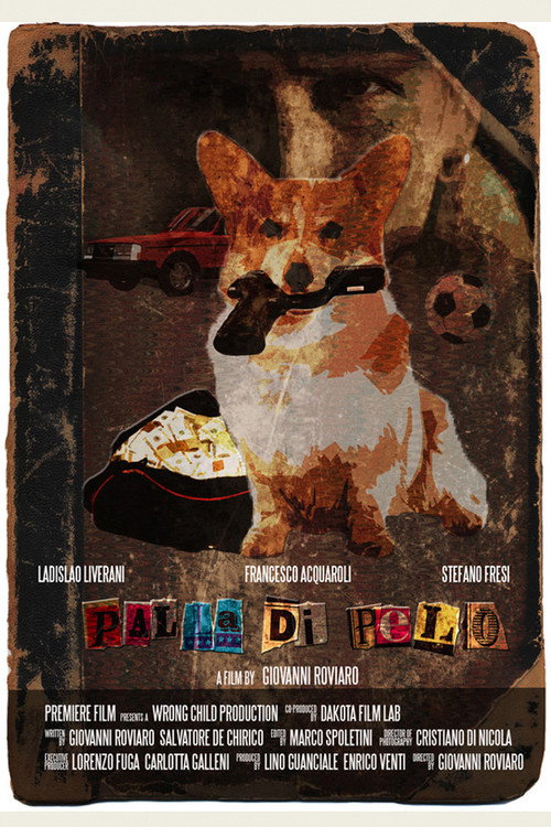 Movie poster for Palla di pelo (2021)