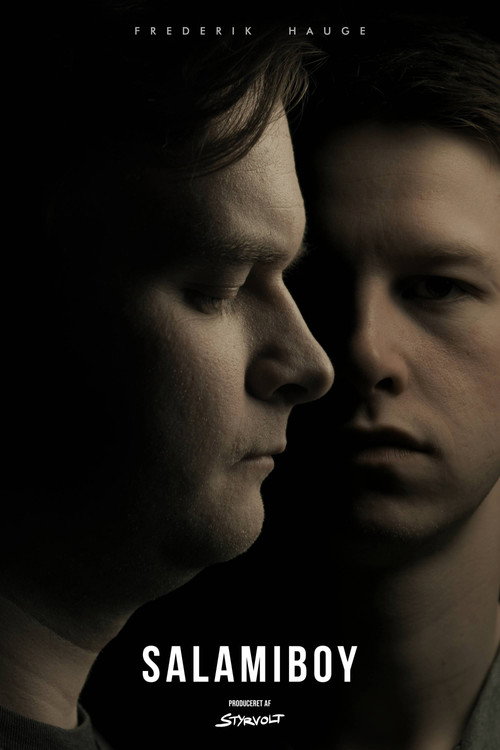 Series poster for Salamiboy (2021)