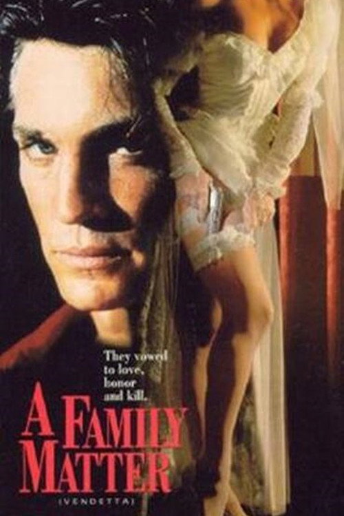 Series poster for A Family Matter (1990)