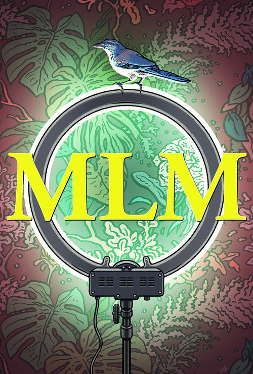 Movie poster for MLM (2024)