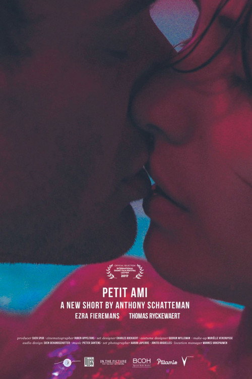 Movie poster for Petit ami (2017)