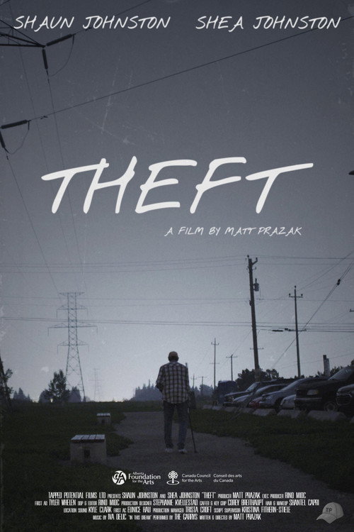 Movie poster for Theft