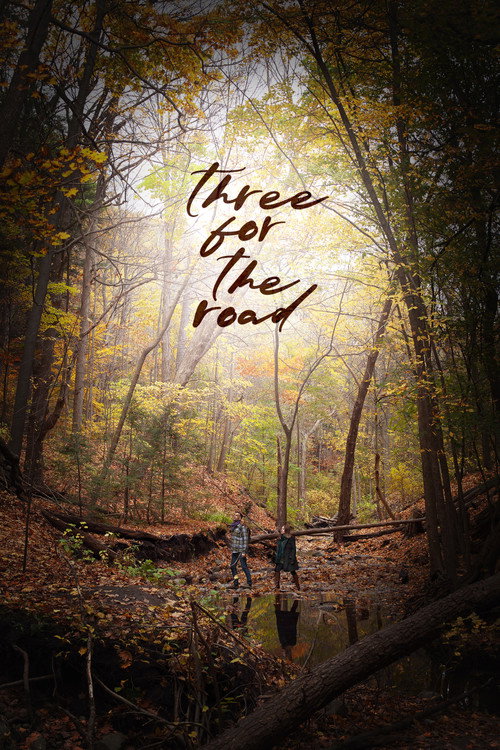 Movie poster for Three for the Road (2020)