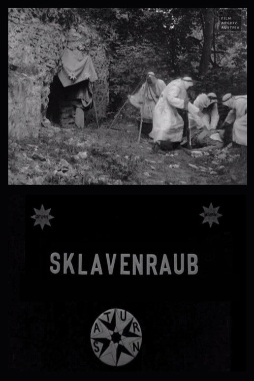 Movie poster for The Abduction of the Slave Women (1907)