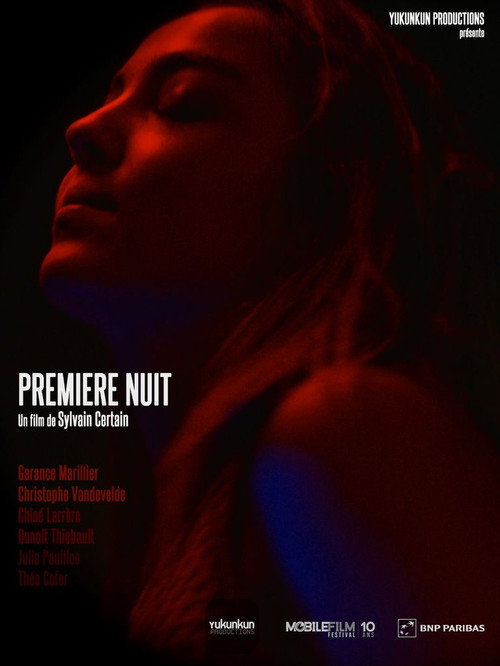 Movie poster for Première nuit (2015)