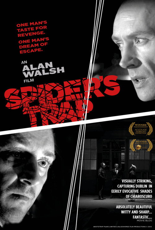 Movie poster for Spiders Trap (2015)