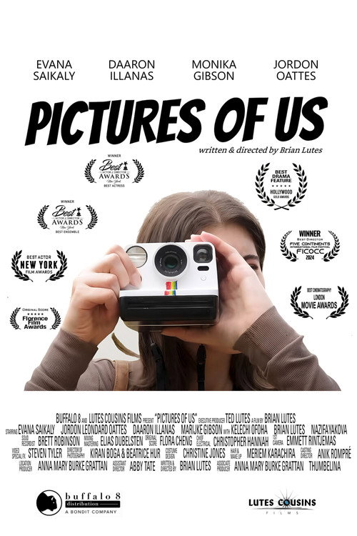 Movie poster for Pictures of Us