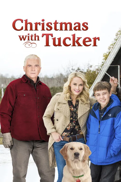 Movie poster for Christmas with Tucker (2013)