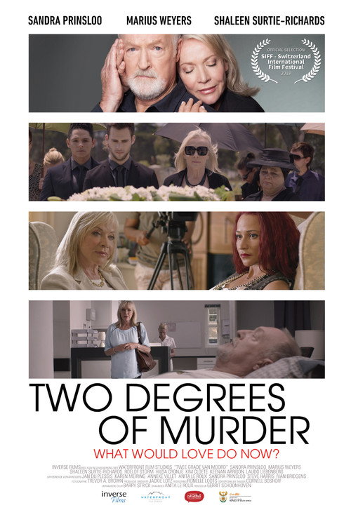 Movie poster for Two Degrees of Murder (2016)