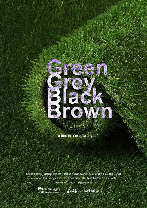 Movie poster for Green Grey Black Brown (2024)
