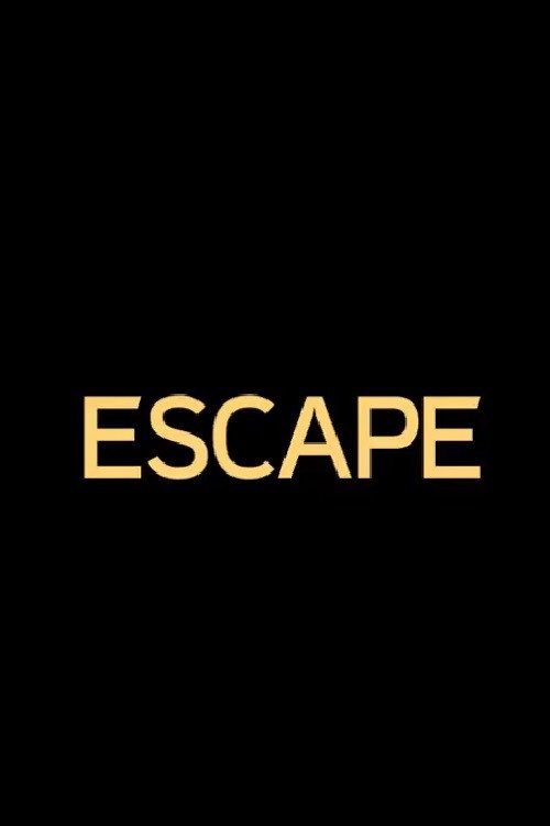 Movie poster for Escape (2013)