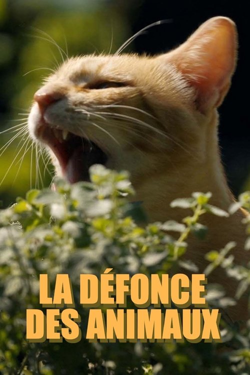 Movie poster for La défonce des animaux (2025)