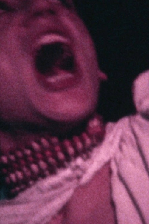 Movie poster for Party de Barcelona. BARNA BOLLS (1977)