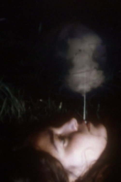 Movie poster for Swollen Stigma (1998)