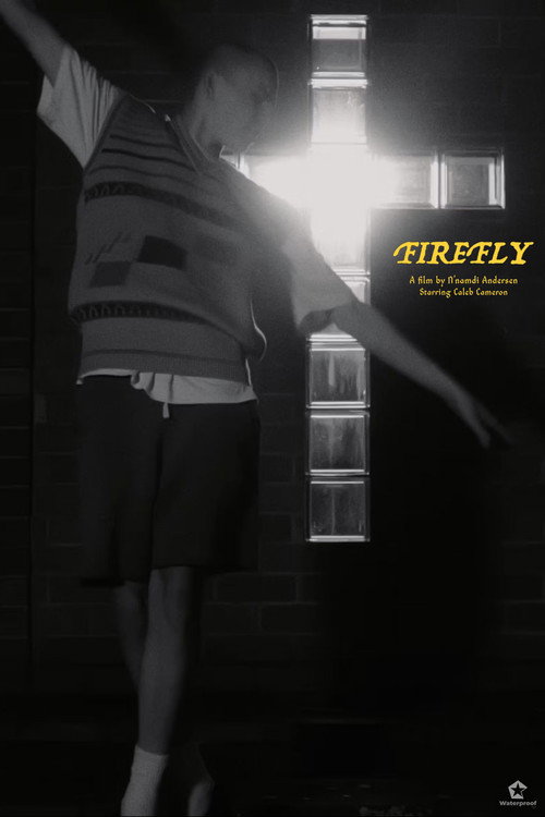Movie poster for Firefly (2021)