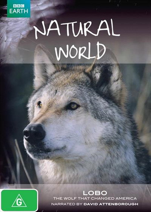 Movie poster for A Wolf Called Storm (2012)