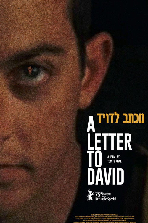 Movie poster for A Letter to David (2025)