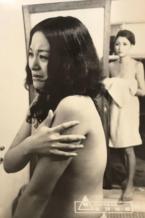 Movie poster for The Secret Sexual Life of College Girls (1973)
