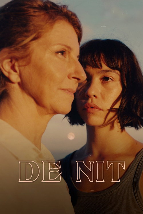 Movie poster for De nit (2023)